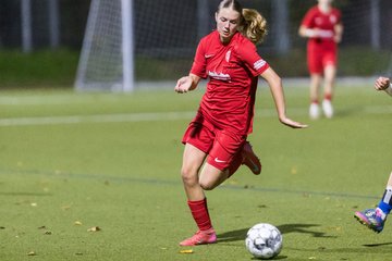 Bild 394 - wBJ Eimsbuettler TV - Hamburger SV : Ergebnis: 1:2